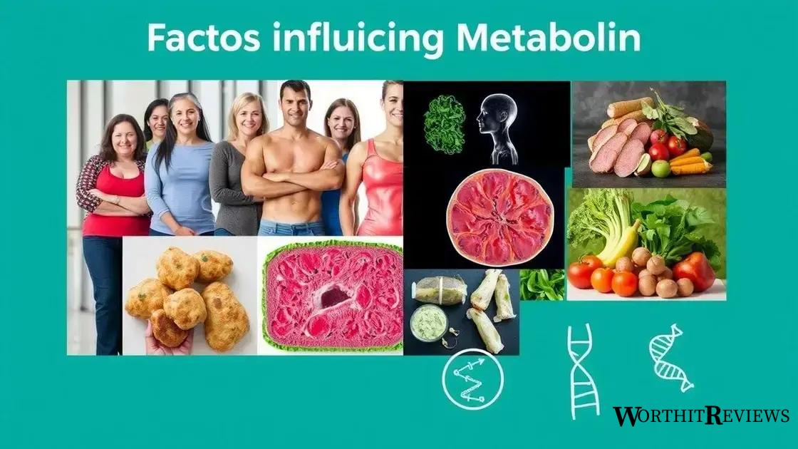 Factors influencing your metabolism